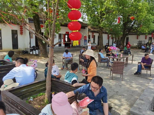 羅田假日旅游 產(chǎn)品豐富，服務(wù)文明有序