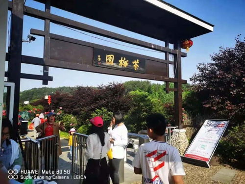 羅田假日旅游 產(chǎn)品豐富，服務(wù)文明有序